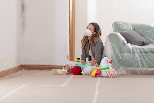 Reliable Mold Remediation contractor in La Grange, NC by 24 Hour Mold Removal